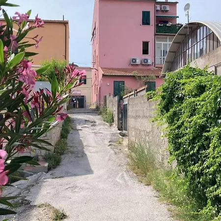 Apartment Carpani *